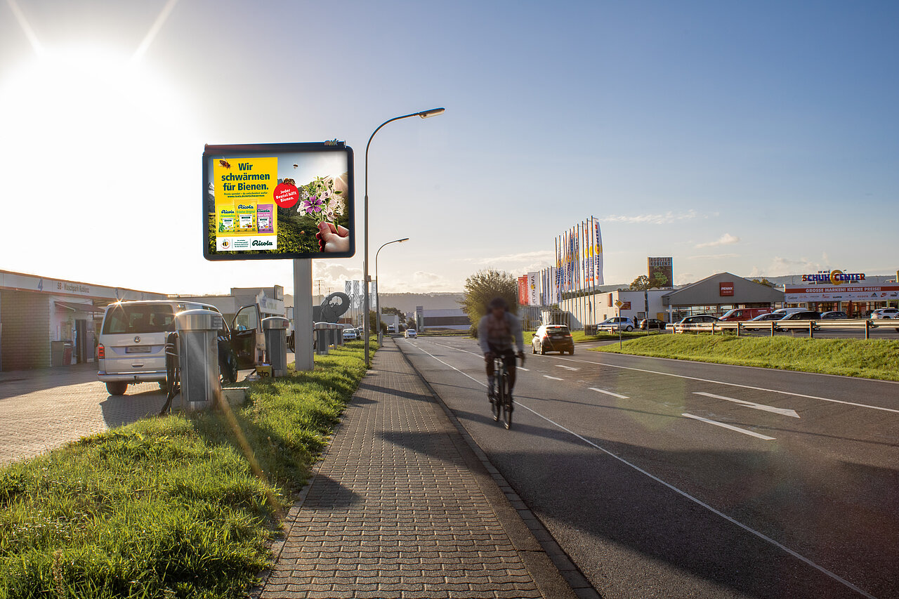 Werbeplakat mit dem Slogan 'Wir schwärmen für Bienen' und einem Bild von Blumensamen und einer Hand, die sie pflanzt. Das Plakat ist an einer gut sichtbaren Straßenecke platziert.