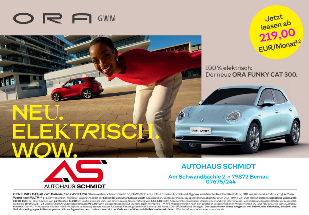 Plakatmotiv vom Autohaus SCHMIDT, das für Elektroautos wirbt